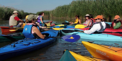 Promising & Proven - Citizens United MauriceRiver